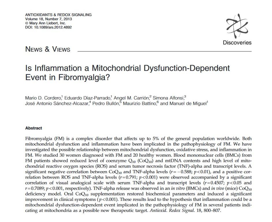 Fibromyalgia Inflammation Pain Fatigue Mitochondrial dysfunction