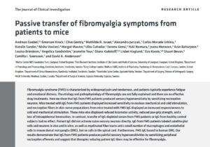 fibromyalgia symptoms in mice after receiving antibodies from fibromyalgia patients